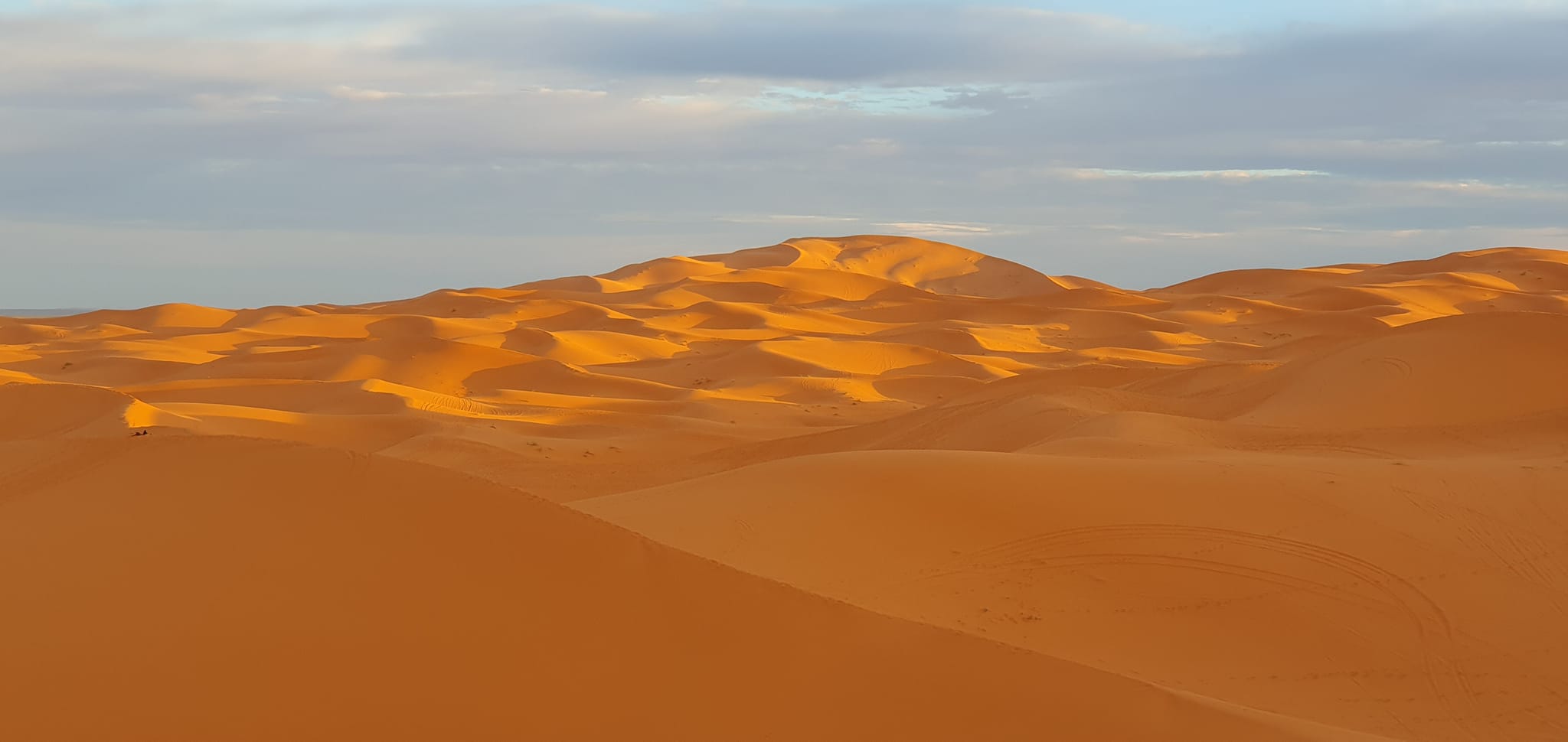 464474968_1115407420584745_105106171156450900_n