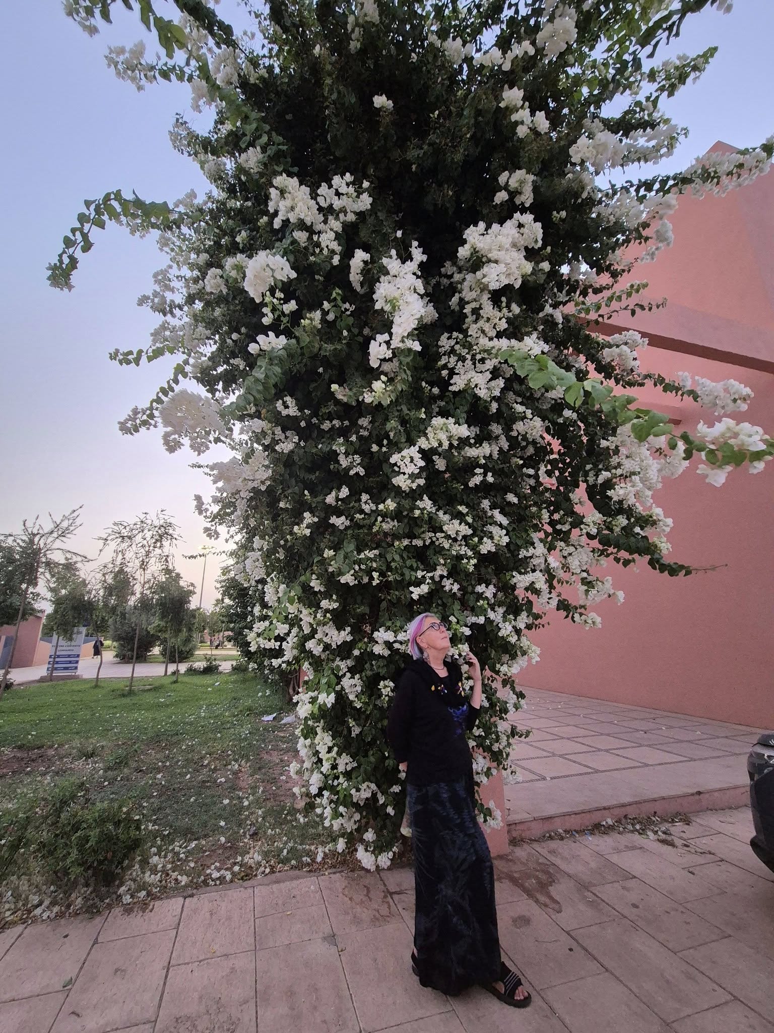 534913715_1377453674380117_4481540234600807359_n