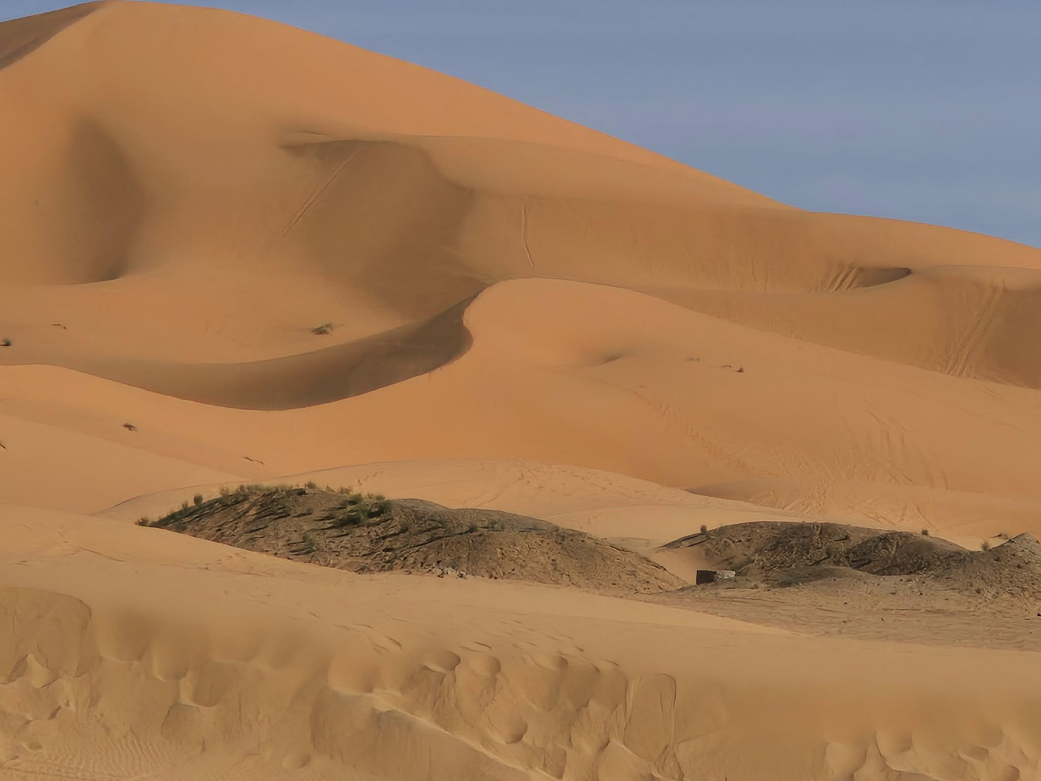 539109360_1382487037210114_7075401921422035883_n