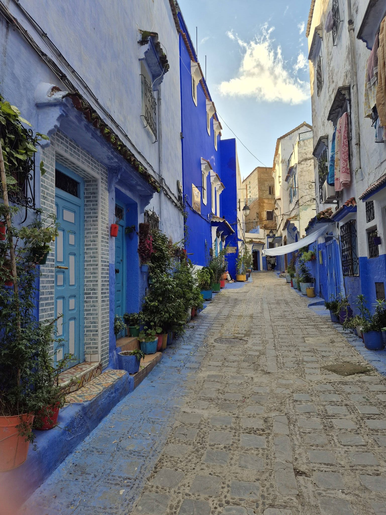 633433838_1552998553492294_7356344790794447947_n