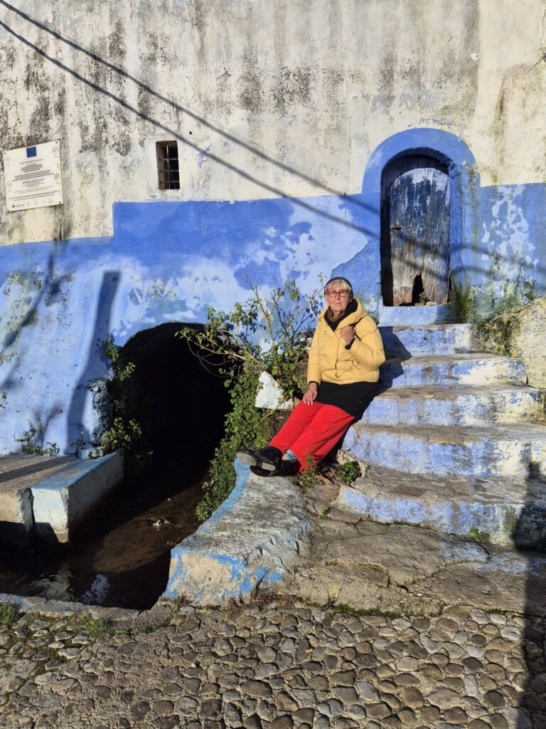 Ewa Miśkiewicz Niebieskie Miasto